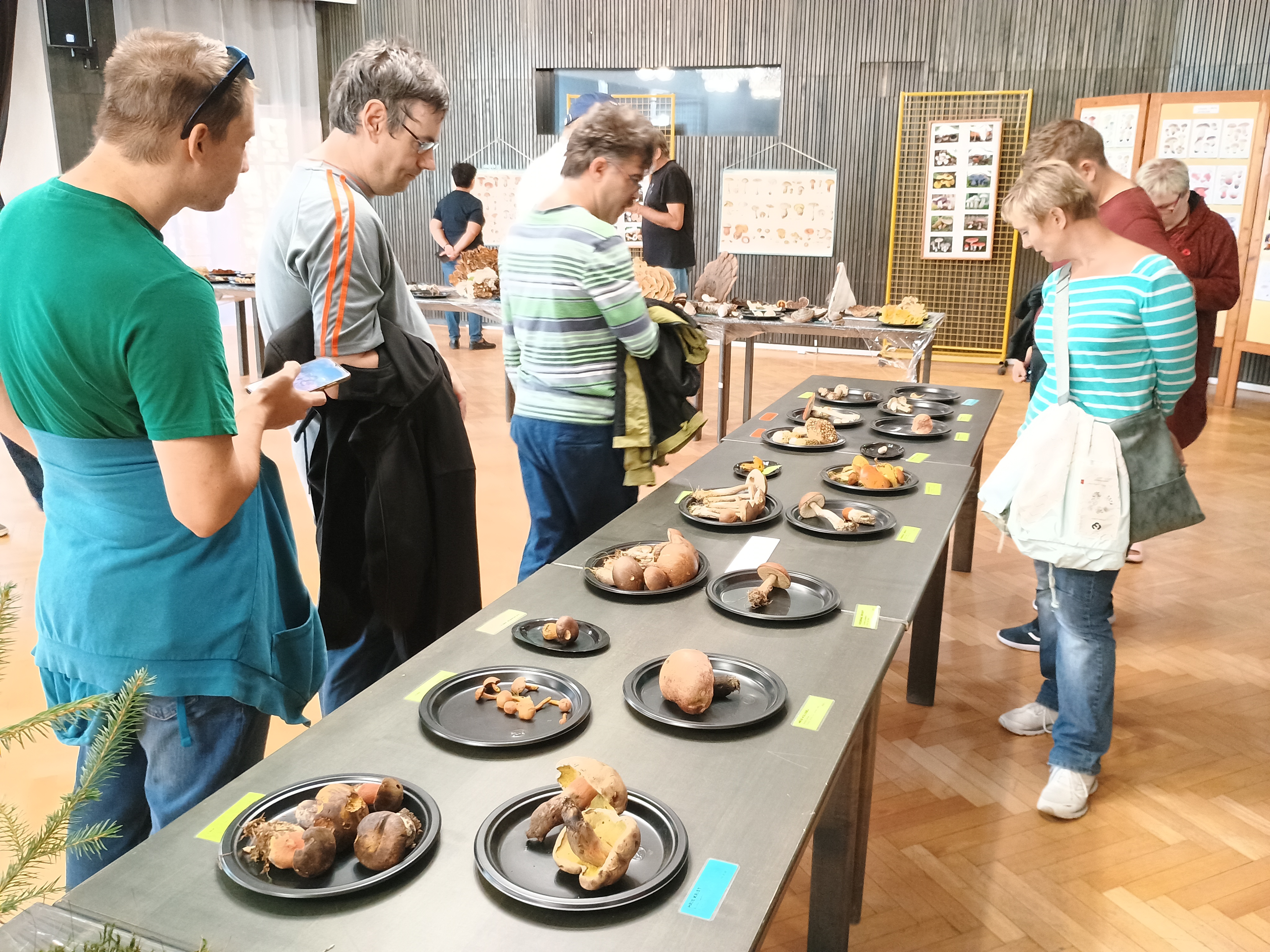 Vystava hub 9-24 (4)