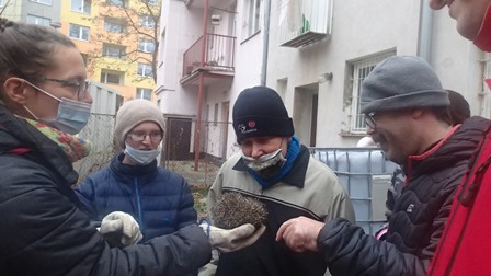 Jezci ve Spolusetkavani 11-21 (32)