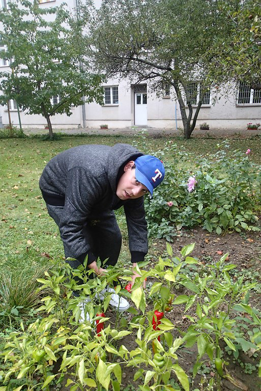 Práce na zahradě 10-16