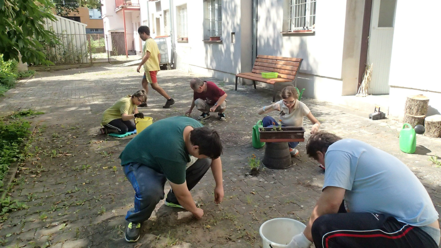Práce na zahradě 7-20