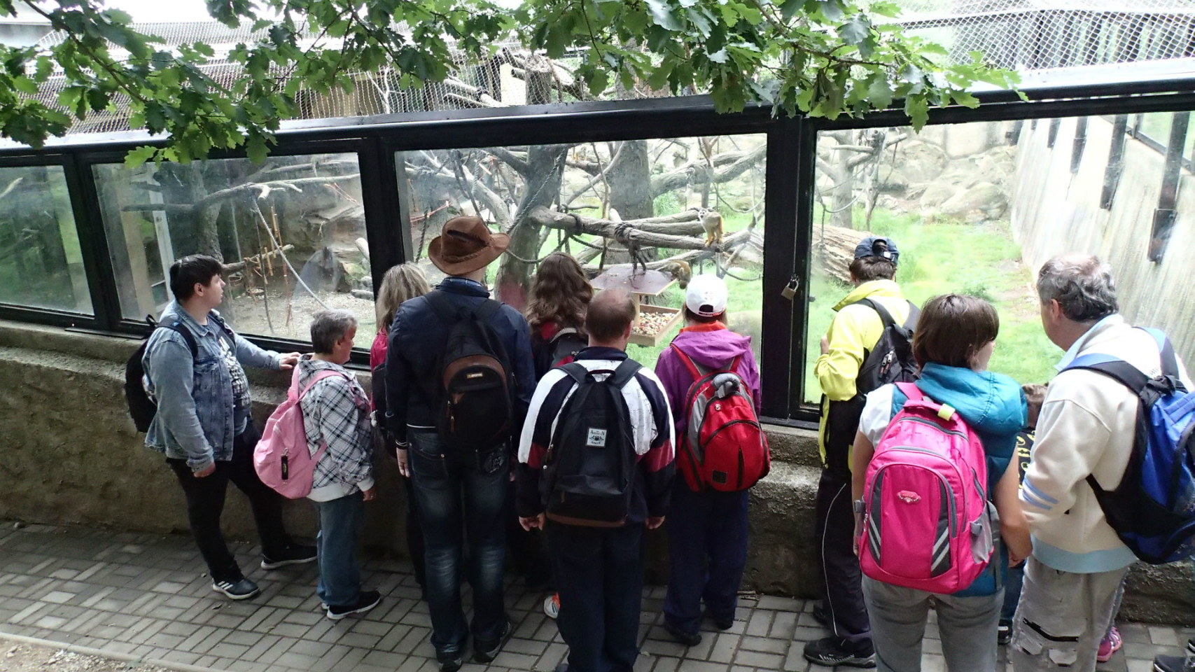 ZOO Kopeček 7-20